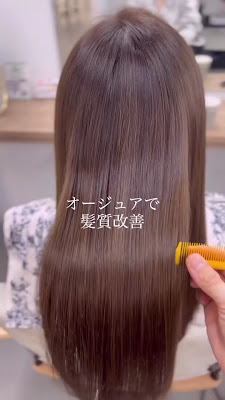 Hair art chiffon 사진 4