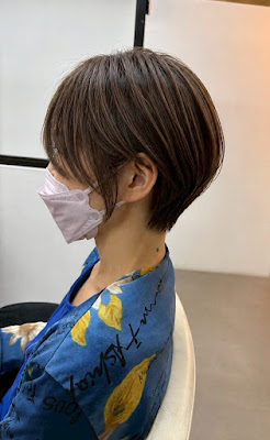 Hair art chiffon 사진 2
