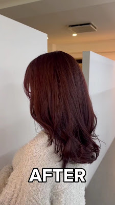 Hair art chiffon 사진 3