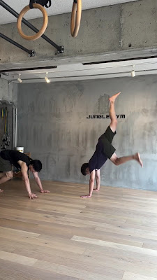 Jungle Gym 사진 3