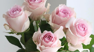 MAX BEAUTYSALON 사진 3