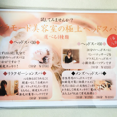 alamode Hair Salon 사진 3