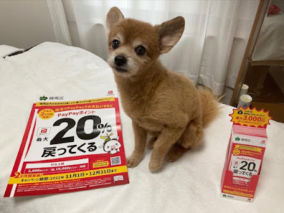 平川恵里子アロマエステ 사진 3