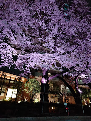 Central Welness Club24 Higashi-Jūjō 사진 2
