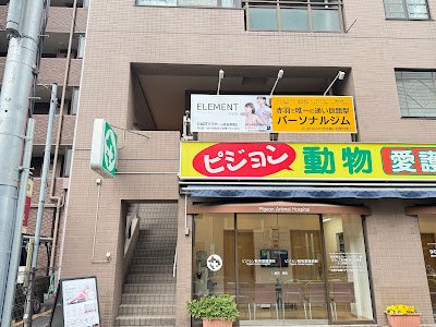 ELEMENT 사진 3