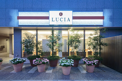 LUCIA Hair Salon 사진 4