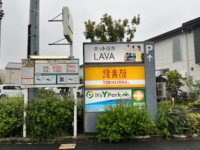 LAVA 사진 4