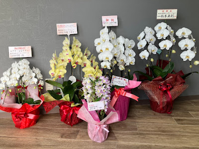ルアナ・ルピナス 川口店【マッサージ＆ヘッドスパサロン】 사진 5