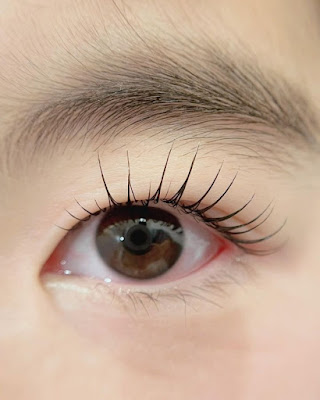 mui hair&eyelash 사진 3