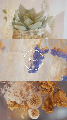 mui hair&eyelash 사진 2