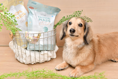 PET-SPA 志木店 사진 2