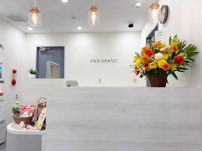 PET-SPA 志木店 사진 3
