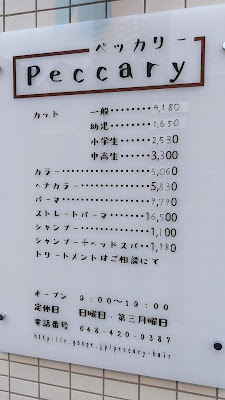 Peccary Hair Salon 사진 5