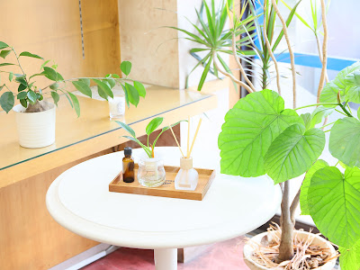 三陽薬局 漢方 フェイシャルエステ 八潮店 사진 5