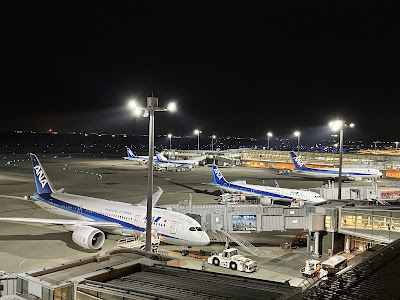 도쿄 국제공항 사진 4