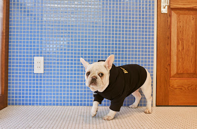 Bullson（愛犬同伴OKドッグラン付きヘアサロン） 사진 4