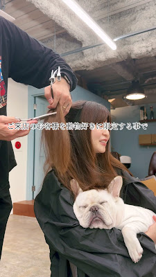 Bullson（愛犬同伴OKドッグラン付きヘアサロン） 사진 2