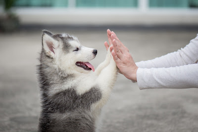 SPAのお見送り 사진 4