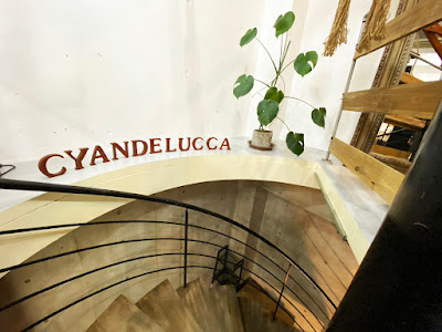 CYANDELUCCA 表参道【シアンデルカ】 사진 3