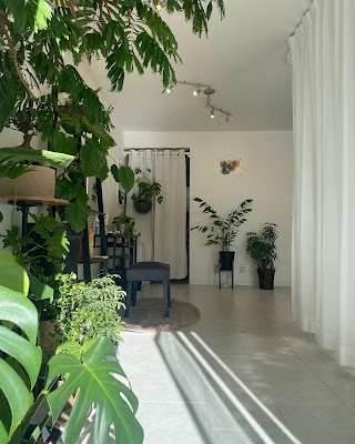 palmcoco 사진 3