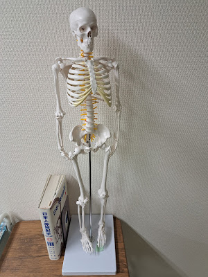 仙骨バランス回復センター 사진 3
