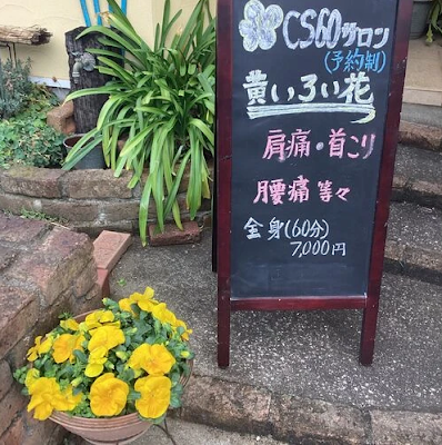 CS60サロン 黄いろい花 사진 3