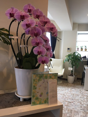 Gengen Acupuncture Massage In Orthopedic Clinic 사진 3