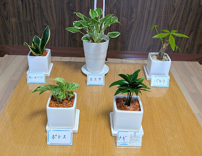 まえだしゅう鍼灸指圧院 사진 3