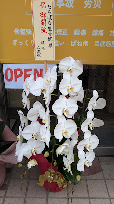 たちばな整骨院 武蔵新田 사진 2