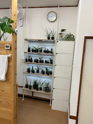 Kamata NICE ! Shinkyu Clinic 사진 2