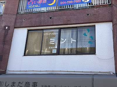 Mint 사진 2