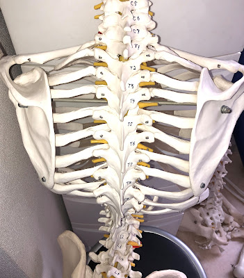 Ikegami Ekimae Orthopedic Clinic 사진 3
