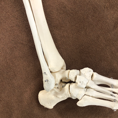 Ikegami Ekimae Orthopedic Clinic 사진 4