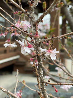 前田鍼灸療院 사진 4