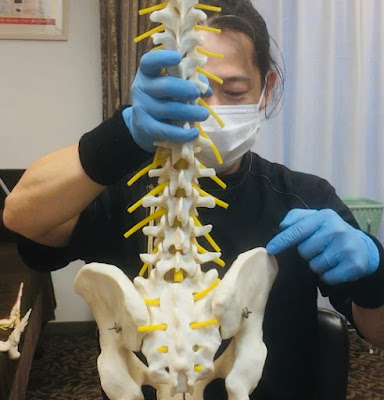 こばやし整体院 사진 4
