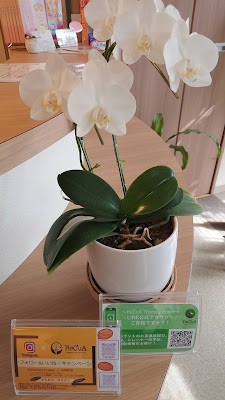 ReCuA Therapy Room 사진 4