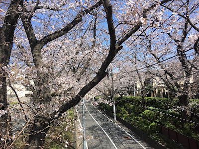 はるかぜテラス 사진 4