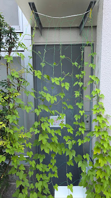 おおた鍼灸院 大森 사진 5
