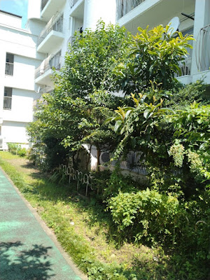 ベンリー 大森店 사진 3