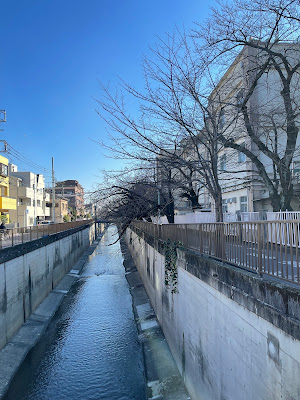 南雪谷さくら治療室 사진 3