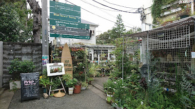 MiYaBi Natural Therapy 自由ヶ丘店 사진 5
