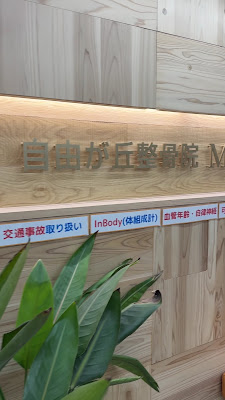 The Address 自由が丘～内臓ケア＆可動域整体～MSA 사진 2