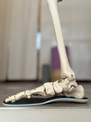 Nonni Chiropractic Salon with Physical Therapy 사진 4