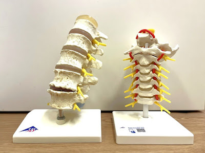 Oimachi Ekimae Orthopedic Clinic 사진 5