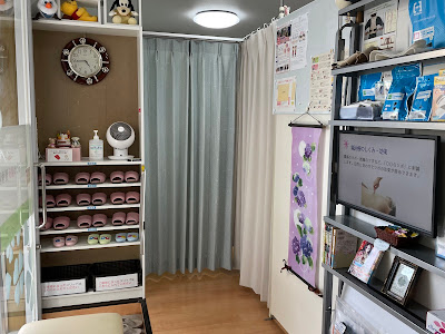 Satoshinkyu Acupuncture 사진 3