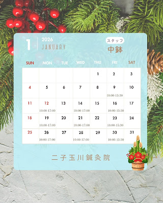 Futakotamagawa Acupuncture 사진 2