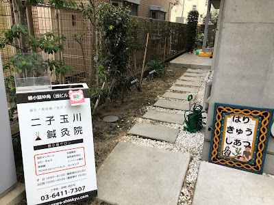Futakotamagawa Acupuncture 사진 5