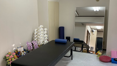 PHYSIOTH フィジオス 사진 4