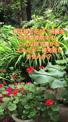 Nakamachi Orthopedic Clinic 사진 2