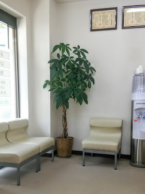 Ishikawashinkyu Acupuncture 사진 4
